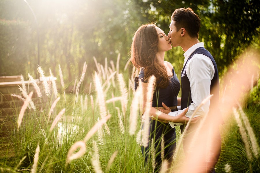 Prewedding kiss In the meadow sunlight couple