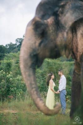 Pre Wedding Photographer Thailand